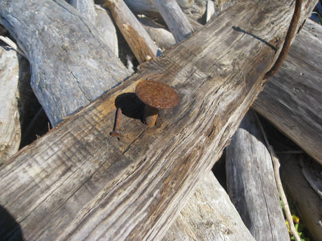 Driftwood and Metal 2
