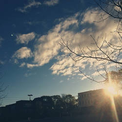 Parking Lot Mornings