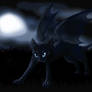 Feline of Darkness