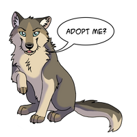 Adopt a Wolf