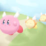 Flying Kirbs