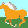 luna  new breeding thoroughbred  mare