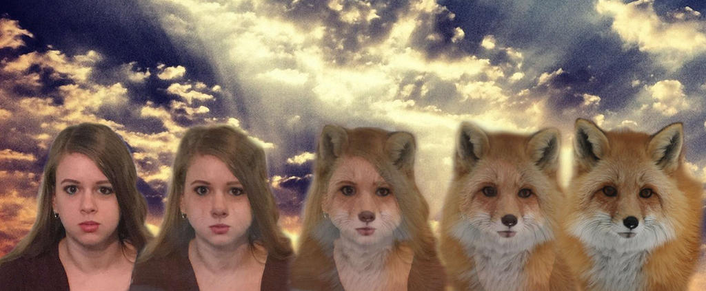 The Return of the Animorph by bobbyj251 on DeviantArt