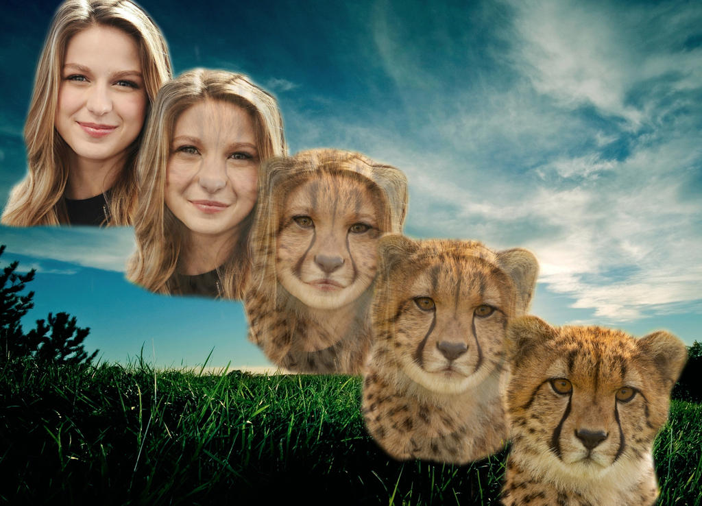 The Animorph with the Super Speed by bobbyj251 on DeviantArt