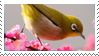 Japanese White-eye Stamp