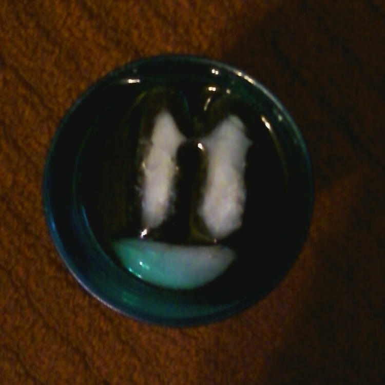 Smile, You've Got Pepsi!! by HelloKittyTsi on DeviantArt