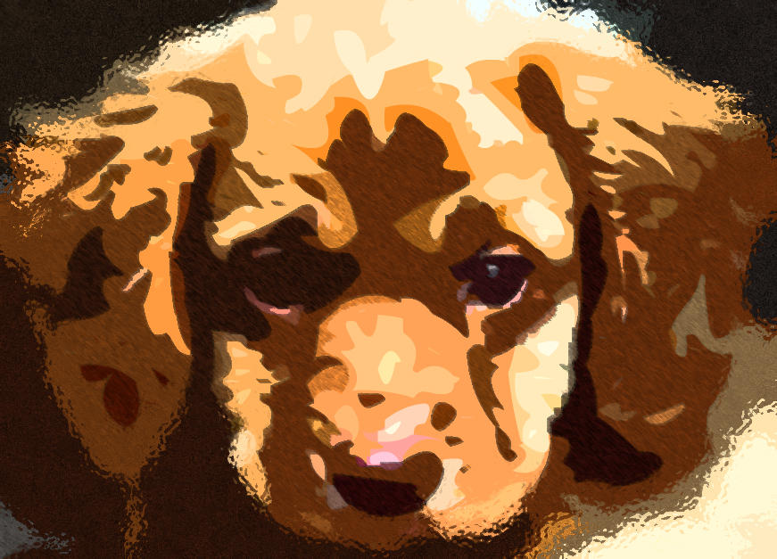 Sad puppy by RomeoRock on DeviantArt
