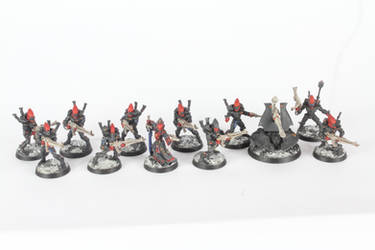 Void Dragons Eldar Corsairs Guardians