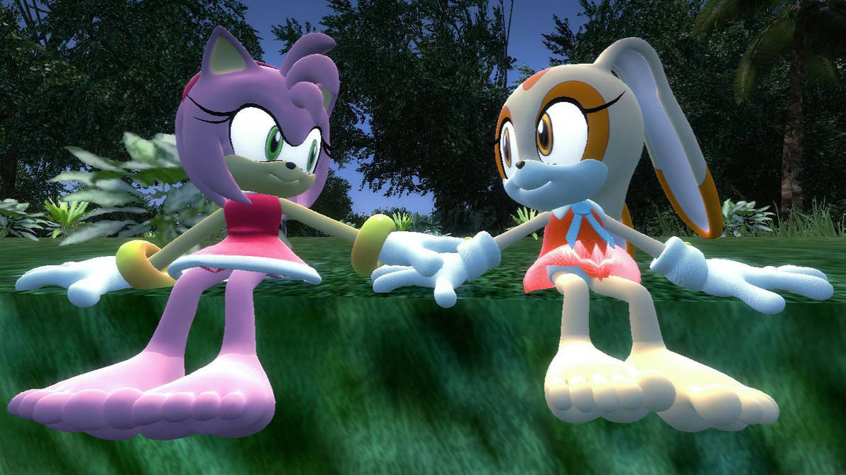Amy Rose and Cream the Rabbit Holding side by side by Clarsax5 on ...