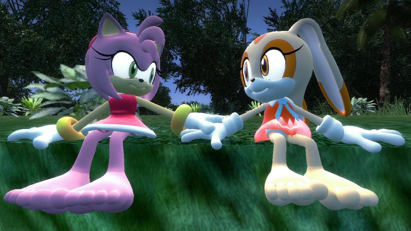 Amy Rabbit Cat Amy Rose and Cream the Rabbit Holding side by side by Clarsax5 on ...