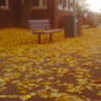 Fell
