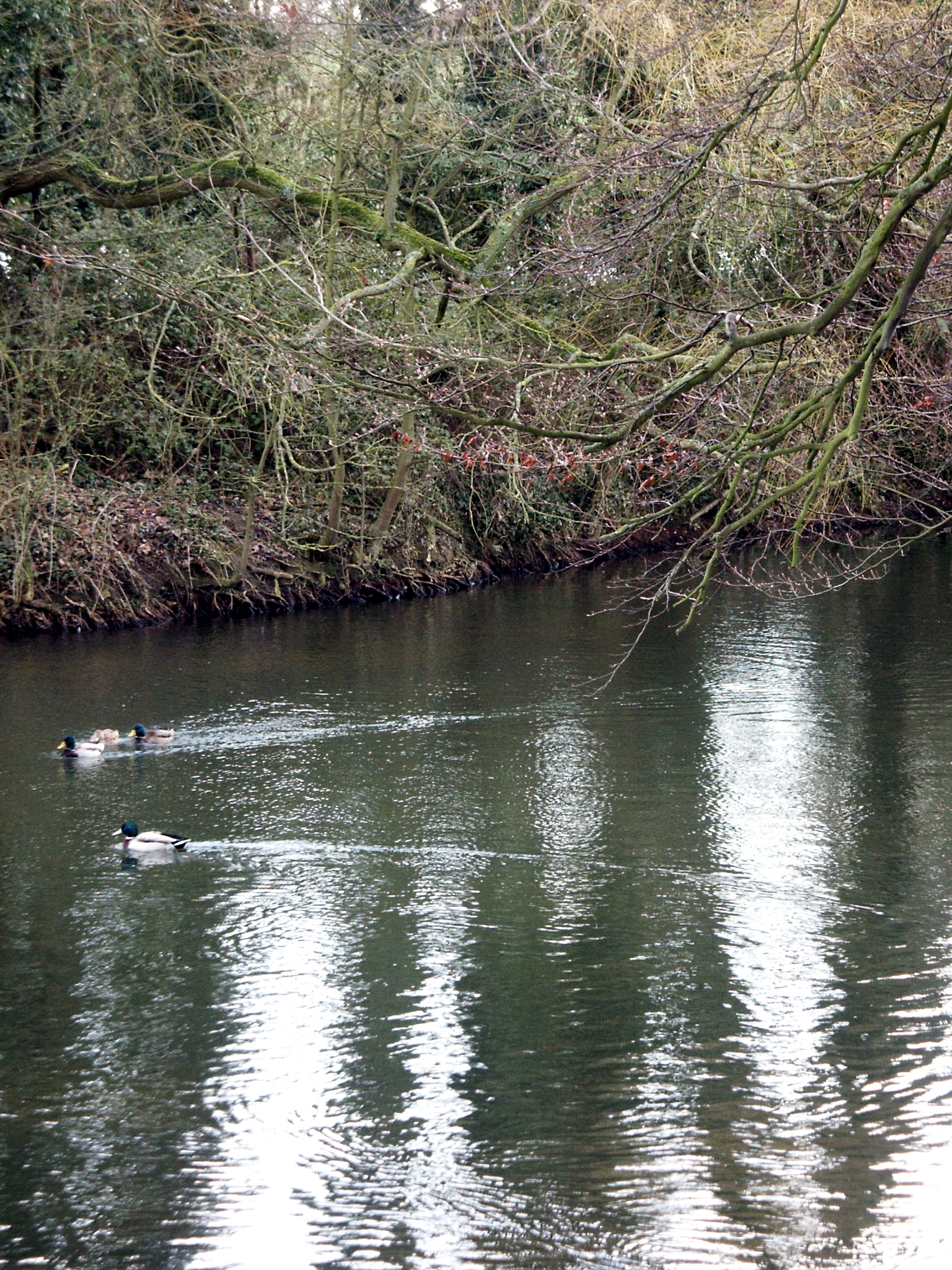 Coate Water Lake