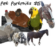 Commissions Open-Pet Portraits $15