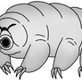 A Tardigrade