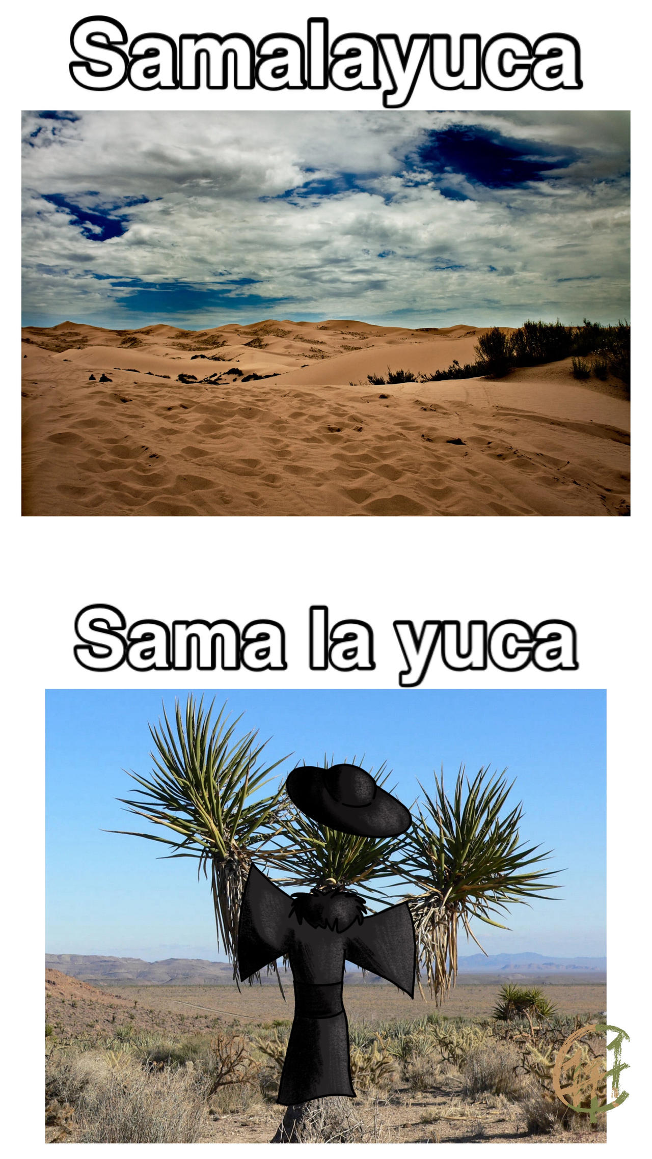 Samalayuca