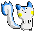 A Cute Pachirisu