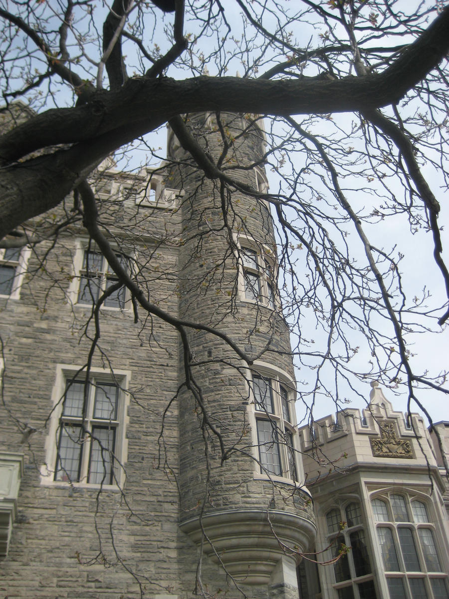 Casa Loma VII