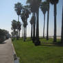 Venice Beach Boardwalk