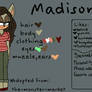 Madison the Hedgehog