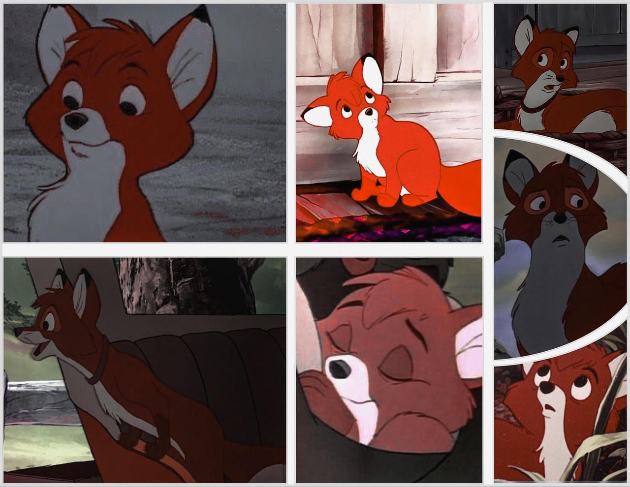 Tod. by lights398 on DeviantArt