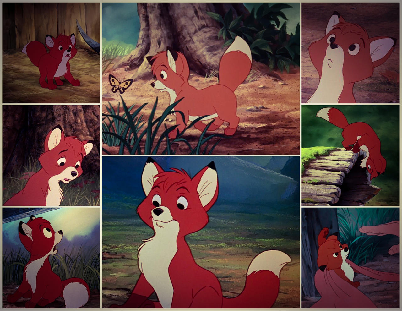 Young Tod. by fourdirtypaws3 on DeviantArt