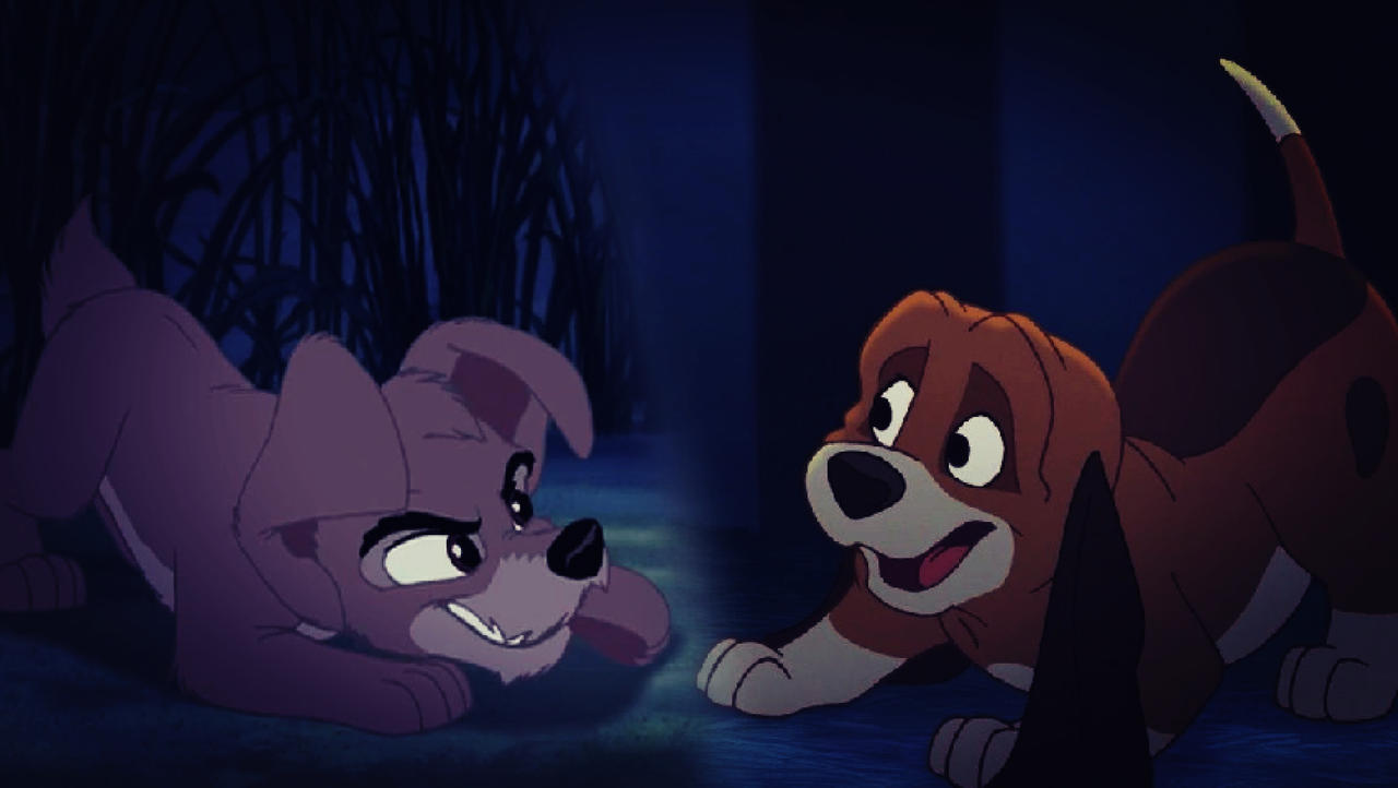 Scamp x Copper. by fourdirtypaws3 on DeviantArt