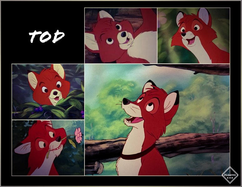 Tod. by fourdirtypaws3 on DeviantArt