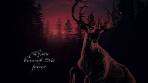 Hier kommt die Sonne.