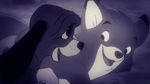 Let's waste time chasing cars.