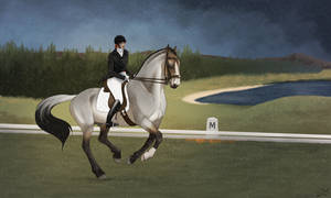 Oak Brookes dressage show by Joybird Oak Brookes dressage show by Joybird