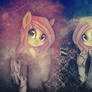 Fluttershy