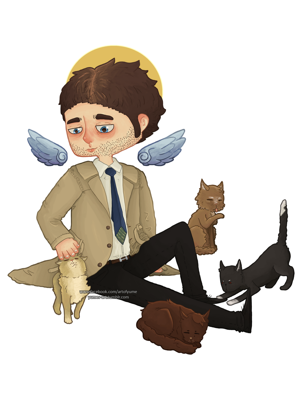 Cas And Cats