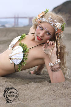 By the Golden Gate
