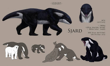 Sjard ref