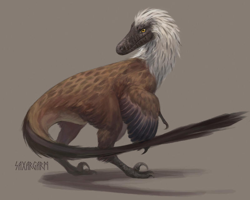 fluffy raptor by Saxargarm on DeviantArt