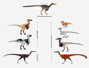 Buitreraptor breeds