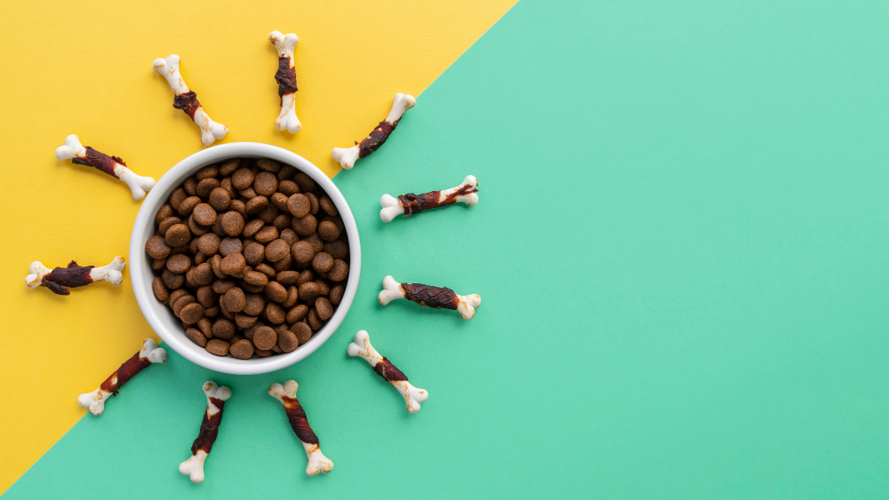 Chow Time Chronicles: A Journey Through Dog Food Chow Time Chronicles: A Journey Through Dog Food