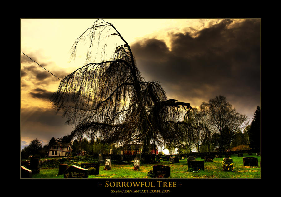 Sorrowful tree - HDR