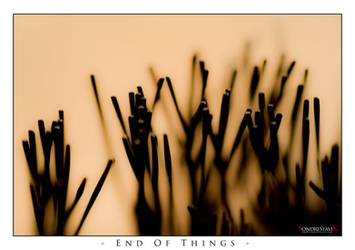 End Of Things
