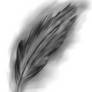 feather