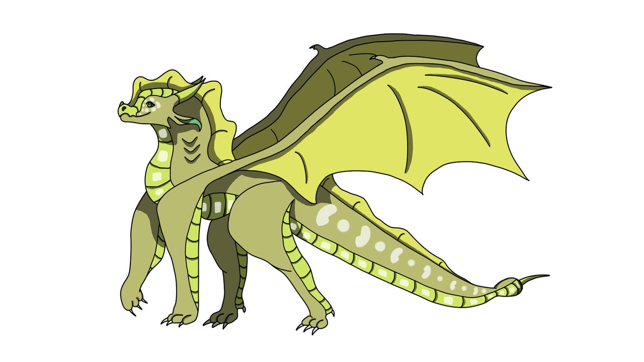 photo Seawing Sandwing Hybrid deviantart
