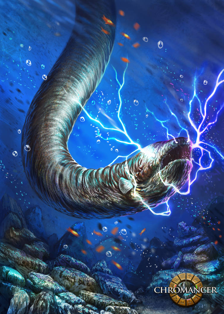 Electric eel 2013 by Reffelia on DeviantArt