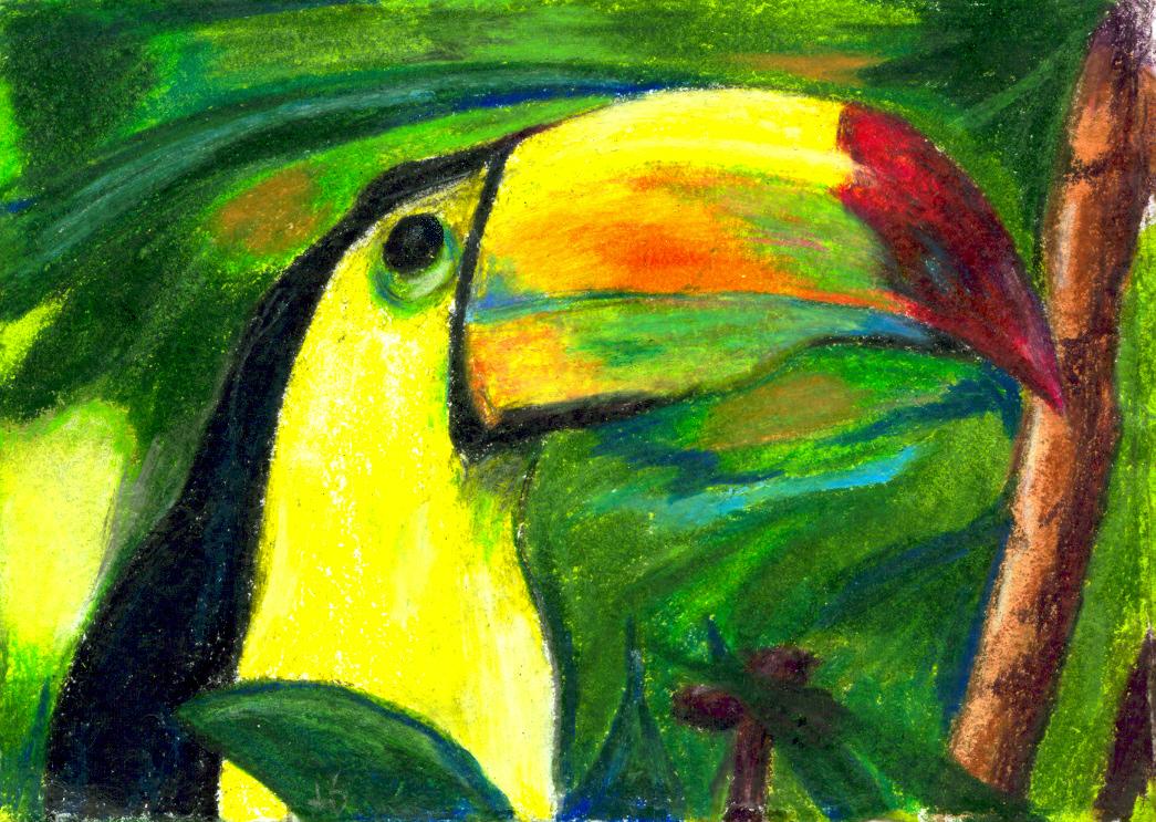 Toucan