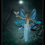 Fairy Enchanted