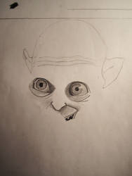 Smeagol WIP1