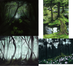 Forest studies