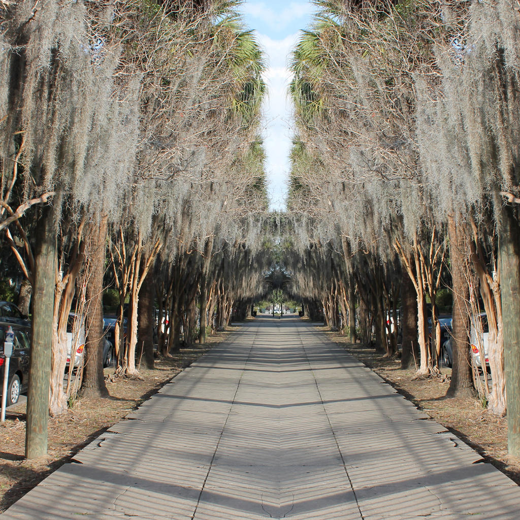 Colonial Park Cemetery III