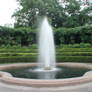 NYC Conservatory Garden III