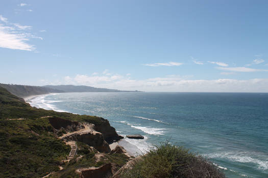 Torrey Pines State Reserve 0418