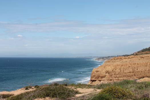 Torrey Pines State Reserve 0426ab
